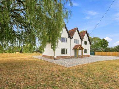 Picture 24